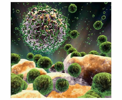 HIV HIV